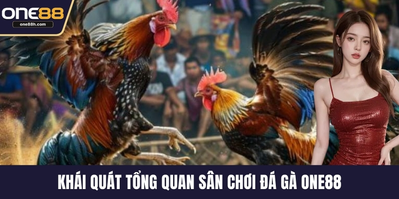 Khái quát tổng quan sân chơi đá gà ONE88